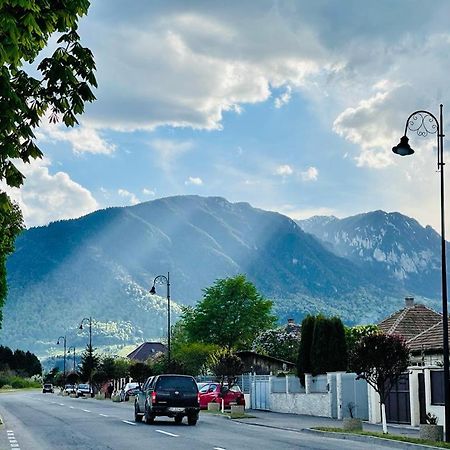Вилла Casa Bunicilor Colonia Sase Martie Экстерьер фото