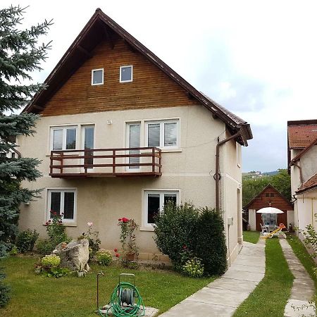 Вилла Casa Bunicilor Colonia Sase Martie Экстерьер фото