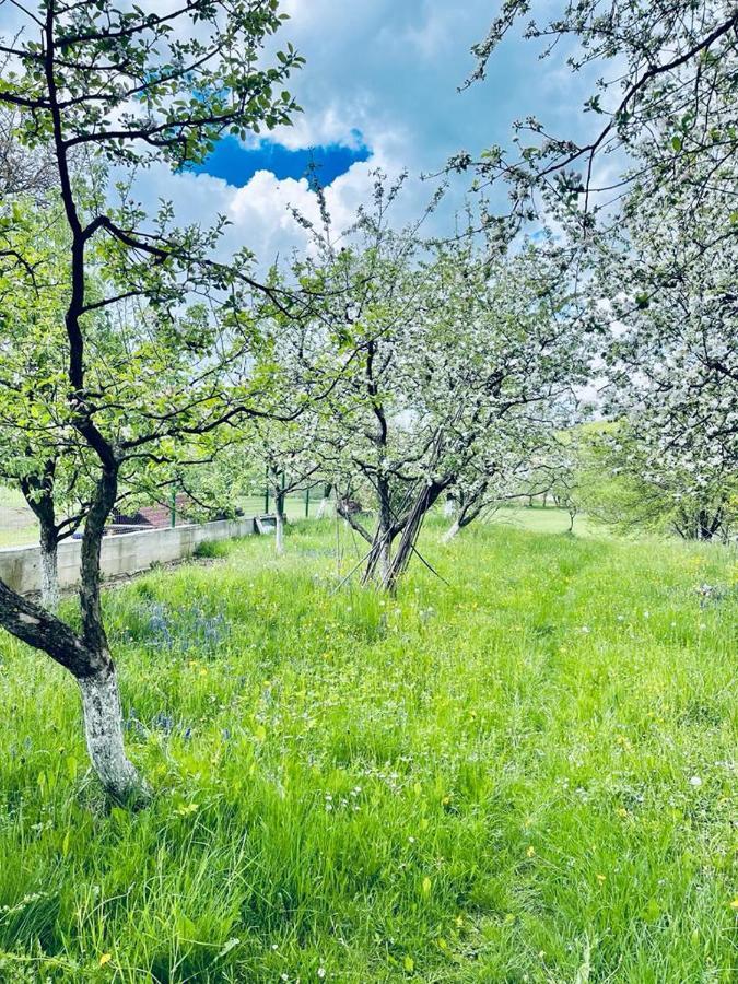 Вилла Casa Bunicilor Colonia Sase Martie Экстерьер фото